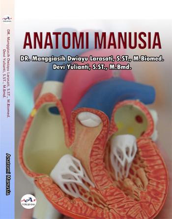 Anatomi Manusia